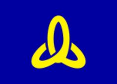 Official flag of Kui vector image