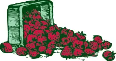 Strawberries basket vector image