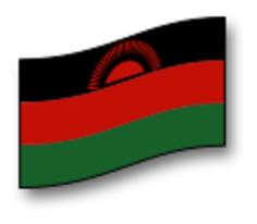 Malawi vector flag