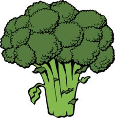 Vector image of broccoli