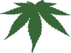 Cannabis leaf color vector image
