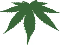 Cannabis leaf color vector image