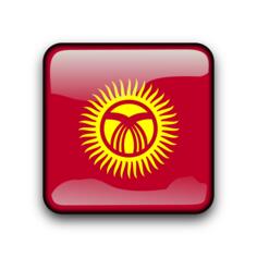 Kyrgyzstan flag vector