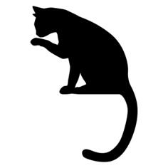 Vector image of cat licking its paw
