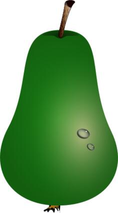 Vector illustration of pear