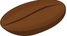 Coffee Bean vector image in color