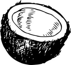 Vector illustration of half a coconut fruit icon