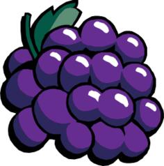 Black grapes vector clip art