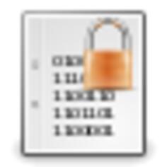 Encrypted document gold icon vector illustration