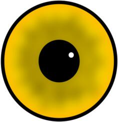 Yellow human eye iris and pupil vector image