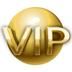 Very important person gold sign vector image