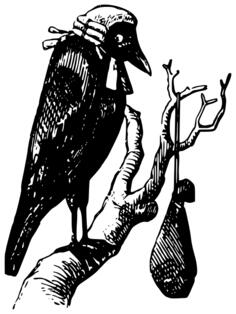 Bird guarding a fortune vector image