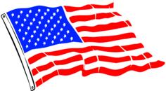 USA Flag Vector Image
