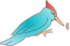 Woodpecker vector image