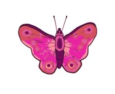 Vector illustration of pink and purple butterfly