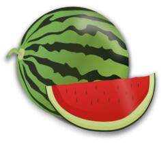 Watermelon and slice vector image