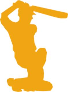 Cricket player silhouette vector image