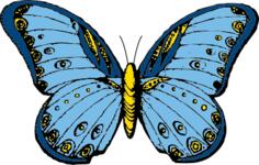 Blue and yellow butterfly vector clip art