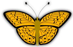 Vector image of orange pattern butterfly