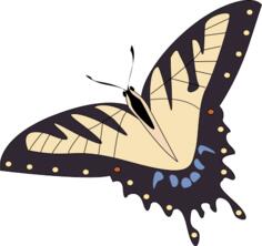 Vector image of tropical butterfly