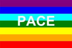 Italian peace flag vector