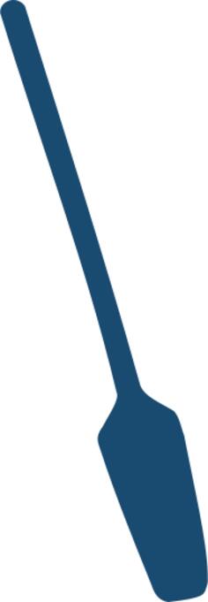 Wash paddle silhouette vector image
