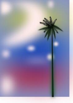 Palm below sky vector image