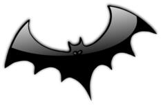 Black Halloween bat vector image