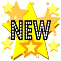 New on stars sign vector image