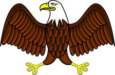 Color bald eagle vector image