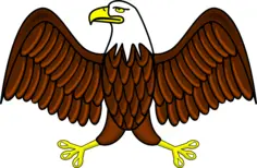 Color bald eagle vector image