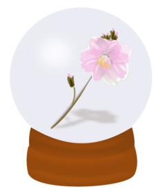 Vector drawing of flower globe