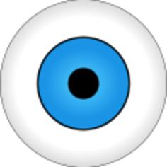 Vector drawing of blue eye iris