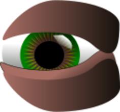 Vector clip art of green eye