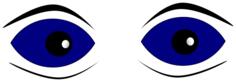 Eyes close-up vector image