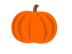 Plain pumpkin vector image