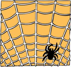 Vector drawing of spider on a spider web