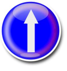 Direction straight ahead only road sign vector image