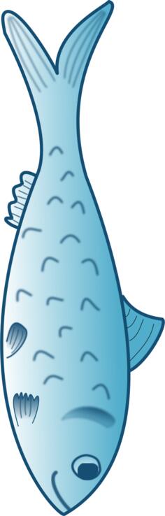 Blue fish vector graphics