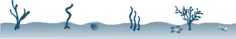 Seabed vector clip artt