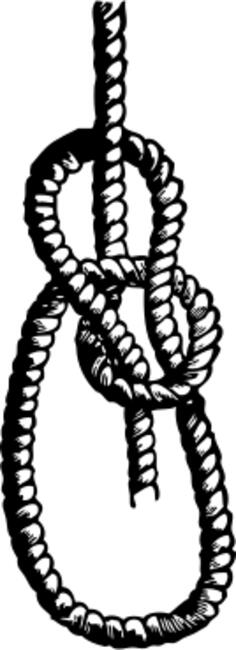 Bowline knot vector image