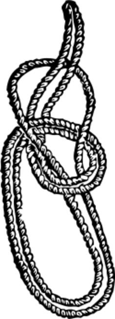 Bowline on a bight knot vector image
