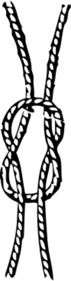 Reef marine knot vector graphics