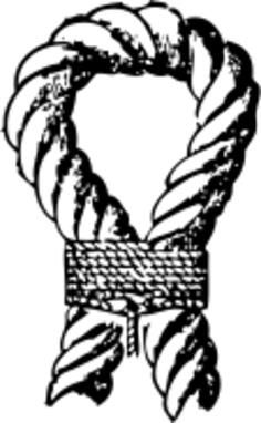 Throat seizing marine knot vector image