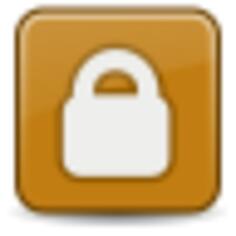 Locked icon vector image