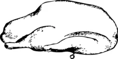 Roast goose vector image