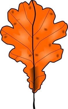 Brown fall leaf vector clip art