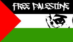 Free Palestine flag vector image