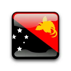 Papua New Guinea flag vector