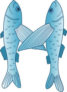 Blue and white vector illustration of two fish